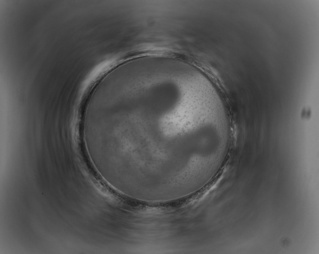 X0000101150149200807071158