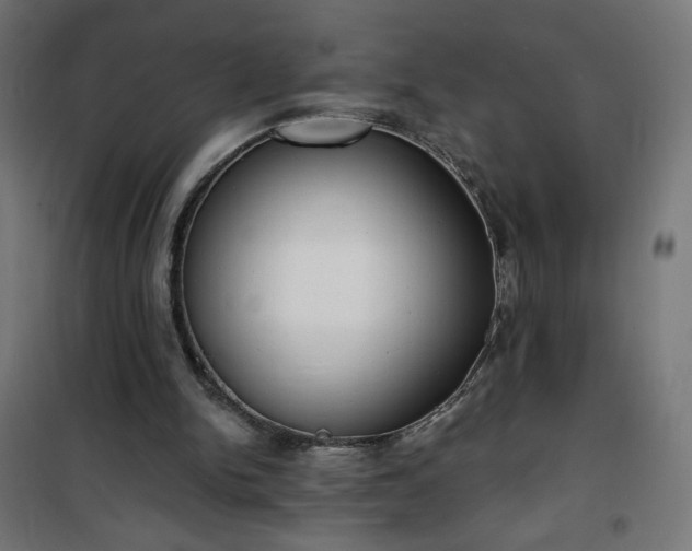 X0000101150150200807071158