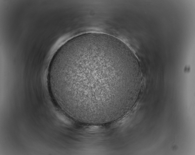 X0000101150151200807071158