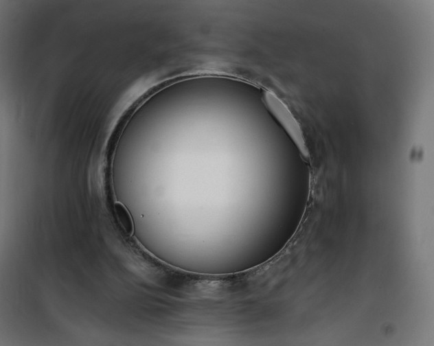 X0000101150152200807071158