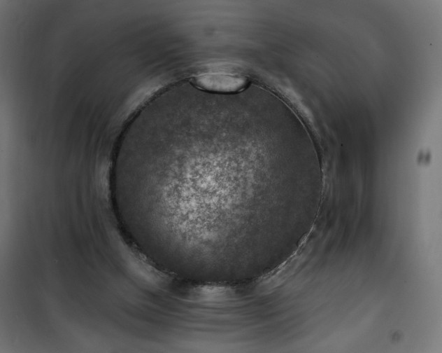 X0000101150154200807071158