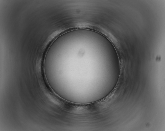 X0000101150155200807071158