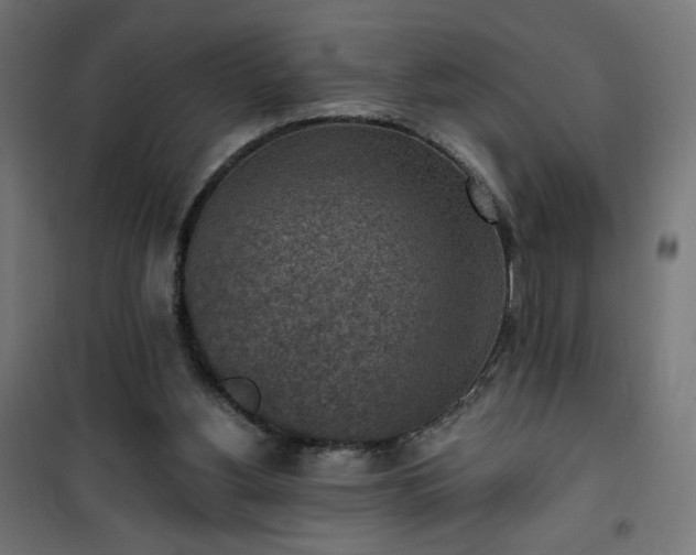 X0000101150156200807071158