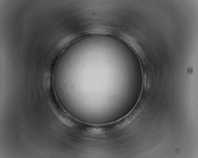 X0000101150157200807071158