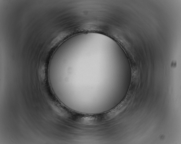 X0000101150158200807071158