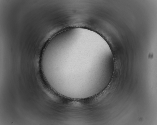 X0000101150159200807071158