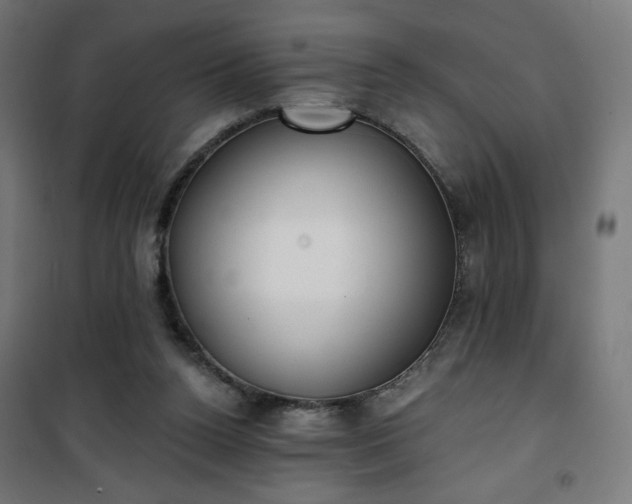 X0000101150160200807071158