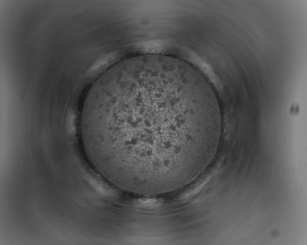 X0000101150161200807071158