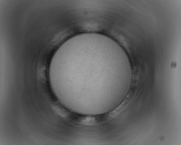 X0000101150162200807071158