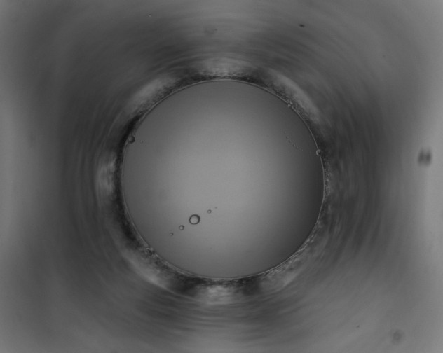 X0000101150163200807071158