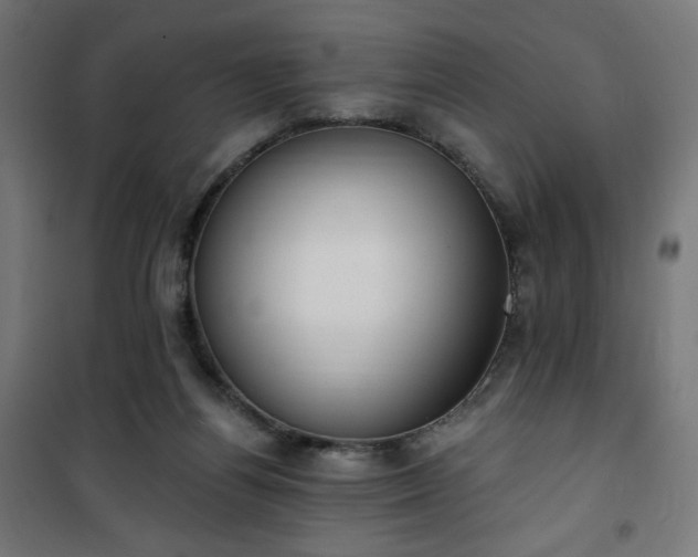 X0000101150164200807071158