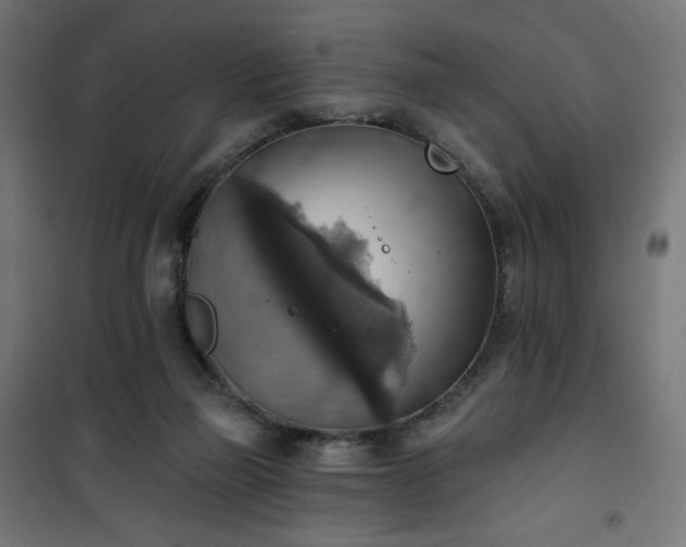 X0000101150165200807071158