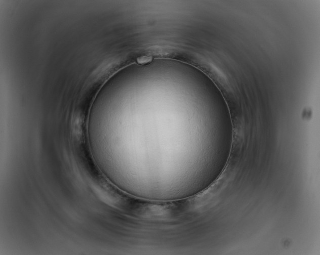 X0000101150166200807071158