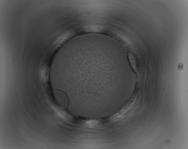 X0000101150168200807071159