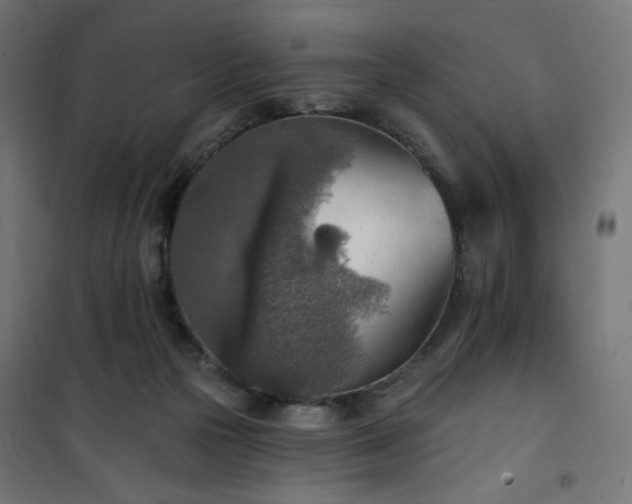 X0000101150169200807071159