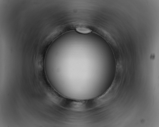 X0000101150170200807071159