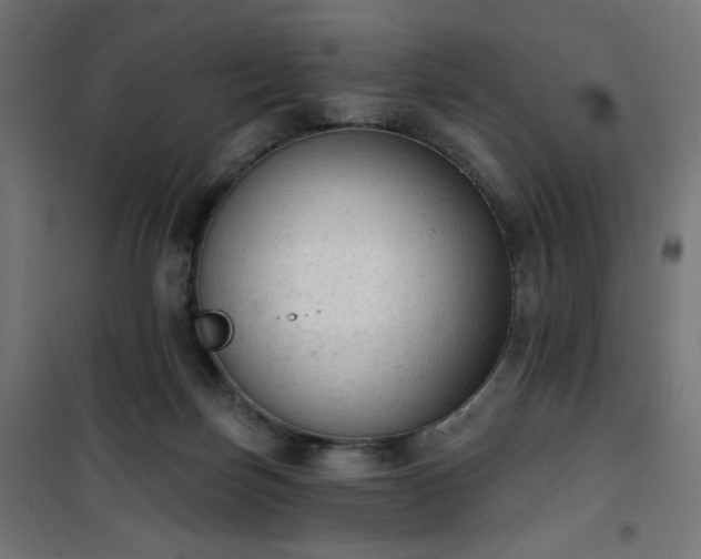 X0000101150171200807071159