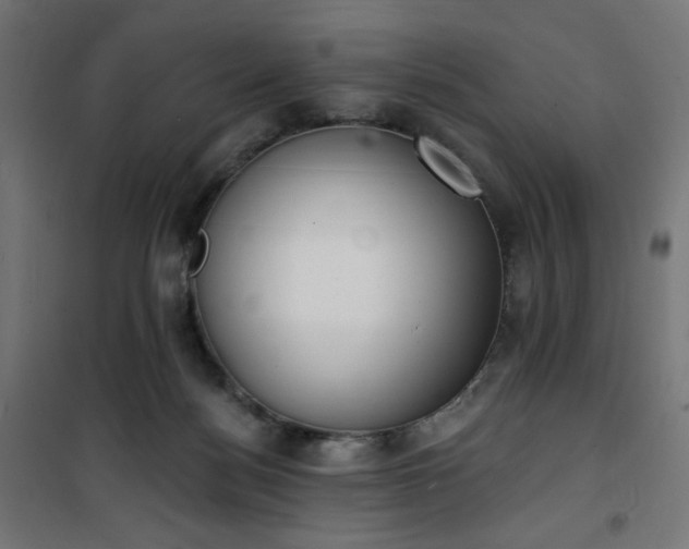 X0000101150172200807071159