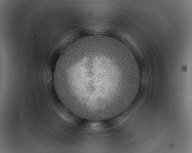 X0000101150173200807071159