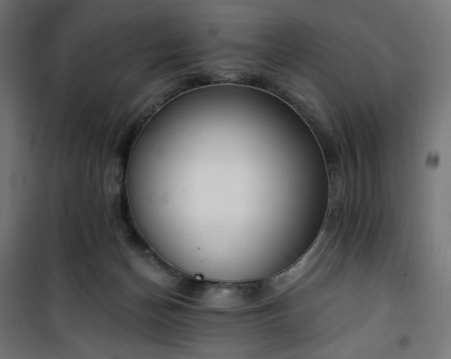 X0000101150174200807071159