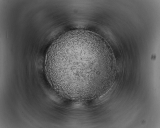 X0000101150175200807071159