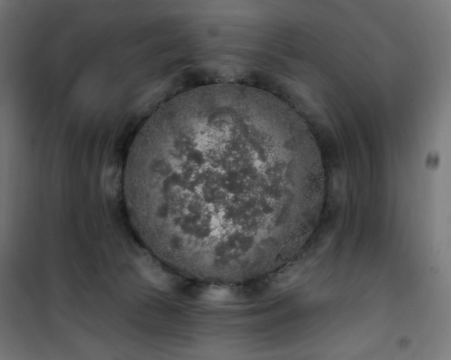 X0000101150177200807071159