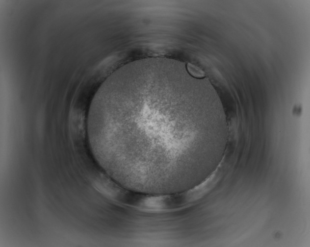 X0000101150178200807071159