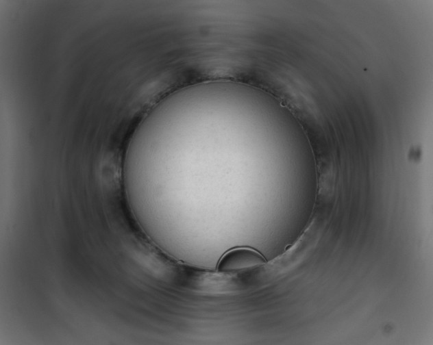 X0000101150179200807071159