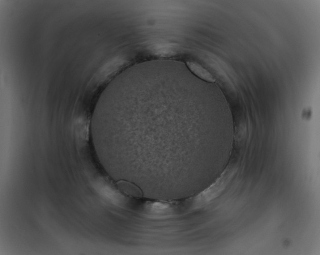 X0000101150180200807071159