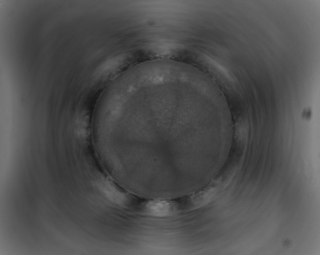 X0000101150181200807071159