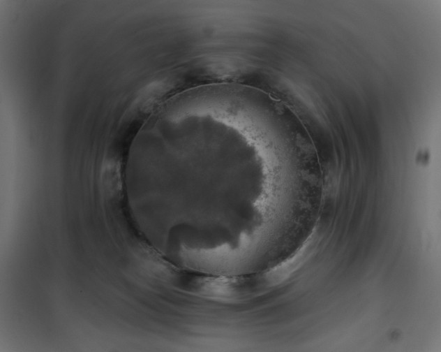 X0000101150182200807071159