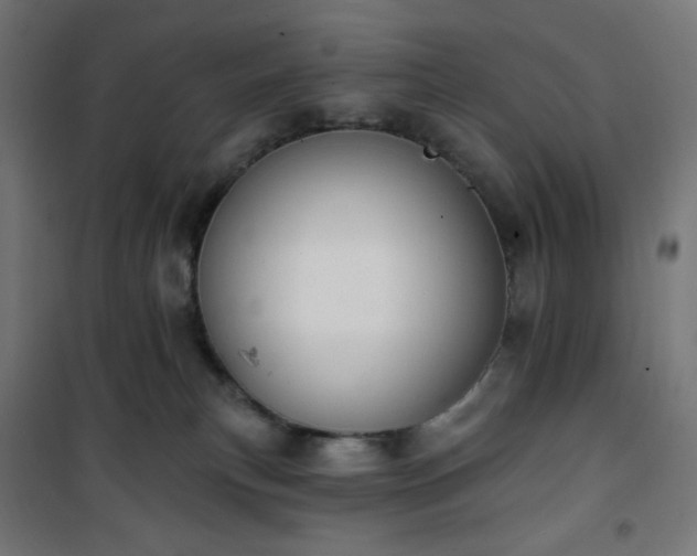 X0000101150183200807071159