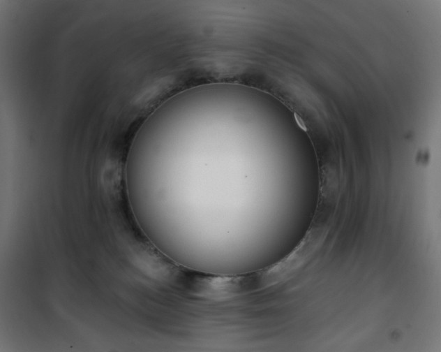 X0000101150184200807071159