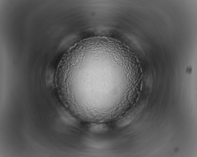 X0000101150185200807071159