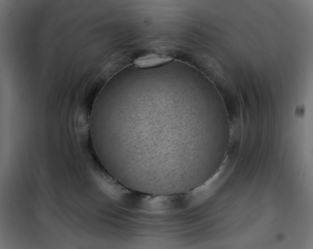 X0000101150186200807071159