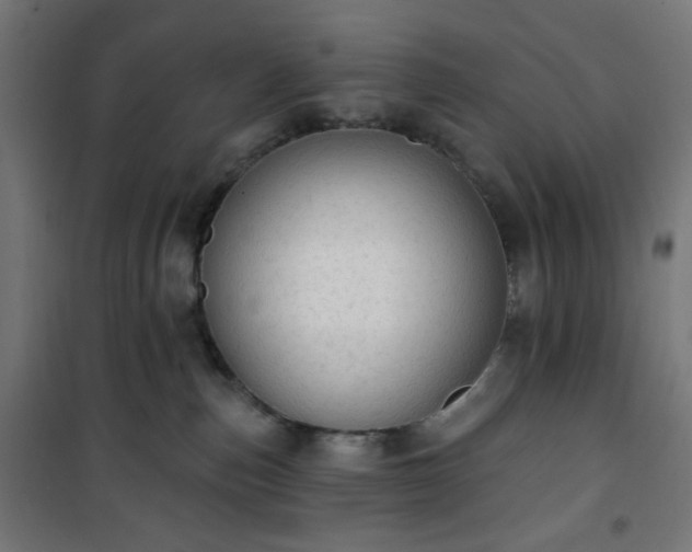 X0000101150187200807071159