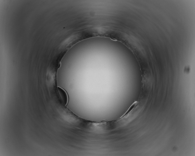 X0000101150188200807071159