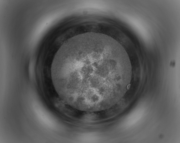 X0000101150189200807071159