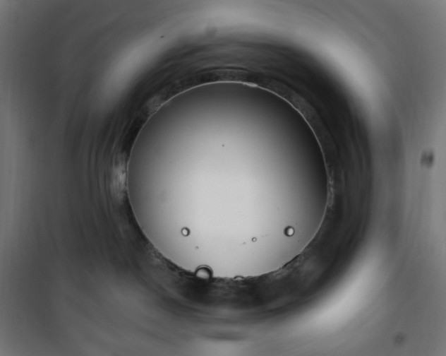 X0000101150190200807071159