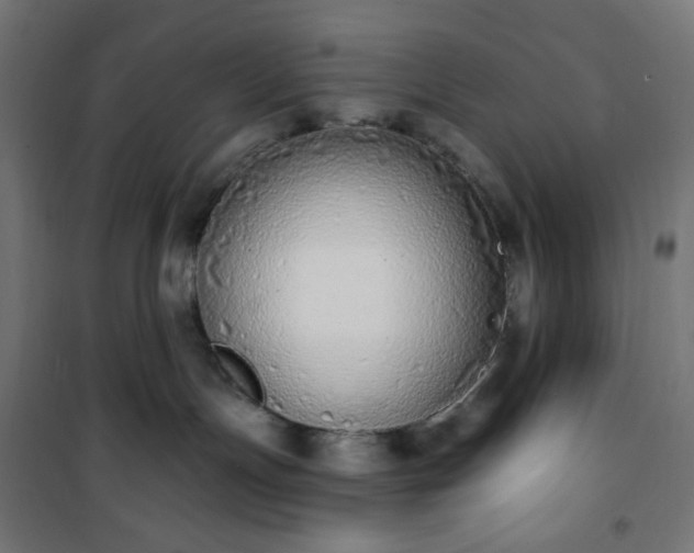 X0000101150191200807071159