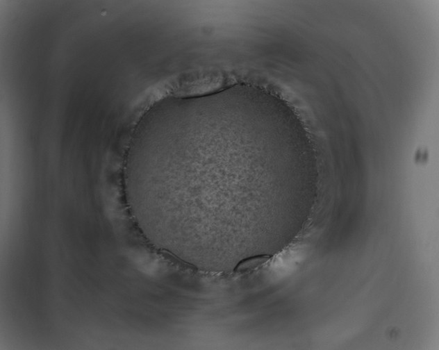 X0000101150192200807071159