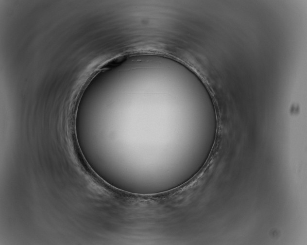 X0000101150193200807071158