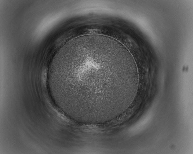 X0000101150194200807071158