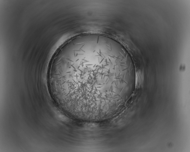 X0000101150195200807071158