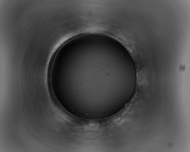 X0000101150196200807071158