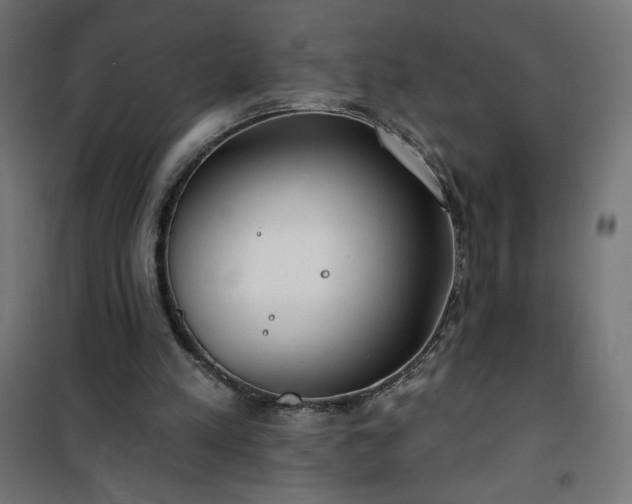 X0000101150197200807071158