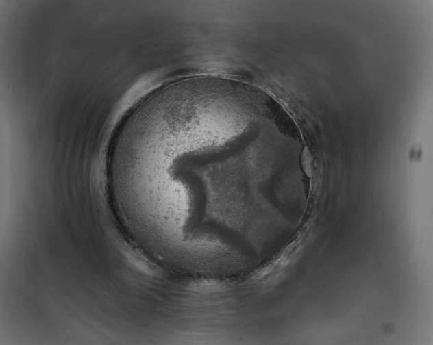 X0000101150198200807071158