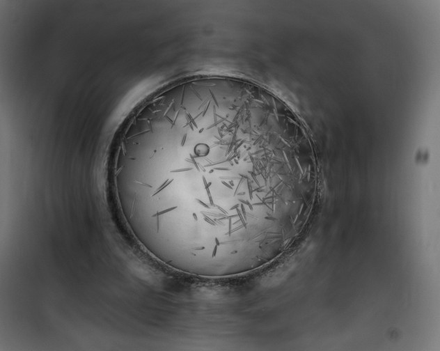 X0000101150199200807071158