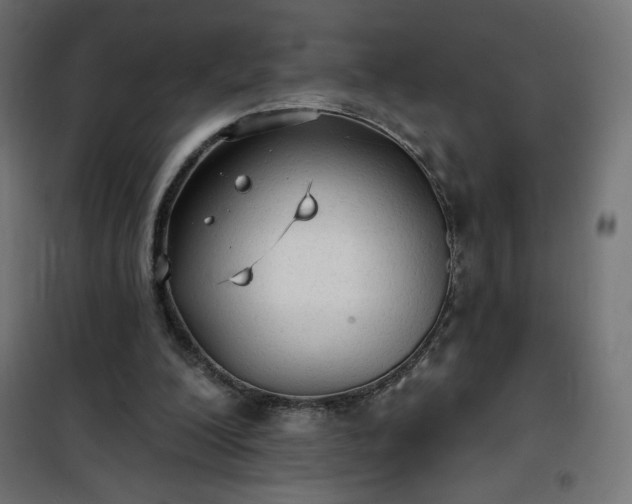 X0000101150200200807071158