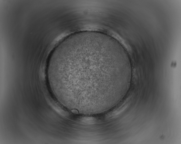 X0000101150203200807071158